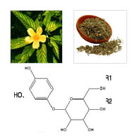 damiana